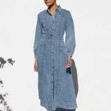 Briar Dress DENIM