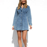 Claudia Dress DENIM